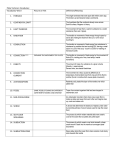 Plate Tectonics Vocab