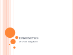 Epigenetics - Hospital Melaka Department of Medicine Haematology