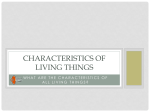 Characteristics of Living Things