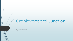 Craniovertebral Junction