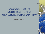 descent with modification: a darwinian view of life