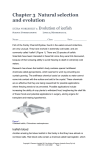 Chapter 3 Natural selection and evolution extra worksheet 1