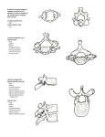 Be able to recognize whether a vertebra is cervical (C1