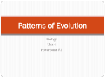 Patterns of evolution