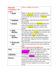 Digestion Vocabulary