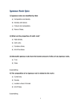 Igneous Rock Quiz - cK-12