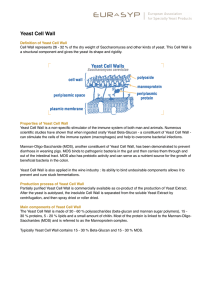 Yeast Cell Wall
