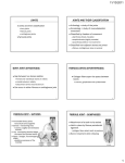 JOINTS JOINTS AND THEIR CLASSIFICATION BONY JOINT