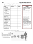 Review sheet