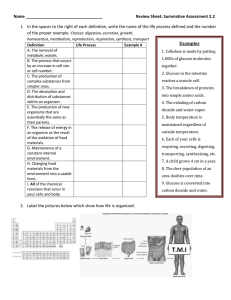 Review sheet