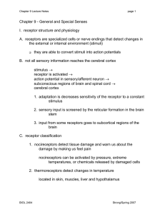 Sensory input: Sensory structures, classification by function