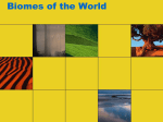 Biomes of the World - Dublin City Schools