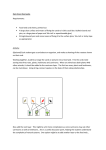 Food Web activity guidance