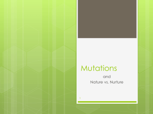 Mutations PP