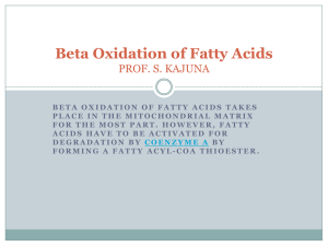 Beta Oxidation of Fatty Acids