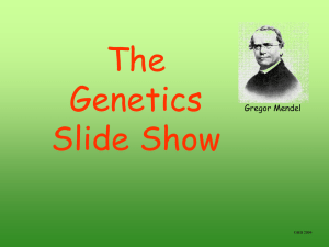 Genetic terms and punnett square