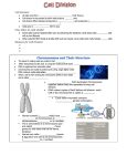 Cell Division Notes