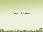 7th grade Origin of Species PPT 6 Origin of Species PP 2016