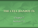 THE CELL HANDOUTS