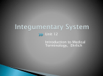 Integumentary System - Petal School District