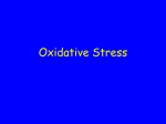 Oxidative Stress