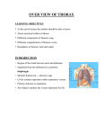 OVER VIEW OF THORAX