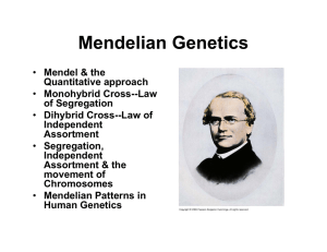 Mendelian Genetics