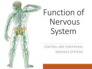 Brainfunction - Oakton Community College