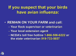 Where does H5N1 come from?