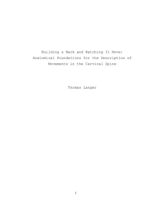 Movements of the Upper Cervical Assembly and Strain in the