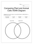 Venn diagram final