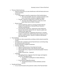 Anatomy Lecture 5 – Root of the Neck