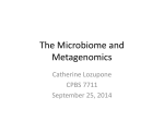 The Microbiome and Metagenomics