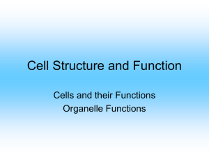 Cell Structure and Function