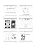 Convergent Evolution Parallel Evolution