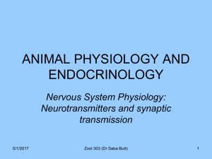 Neurotransmitter