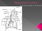 Respiration and Circulation - Greater Atlanta Christian Schools