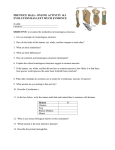 PRENTICE HALL- ONLINE ACTIVITY 14