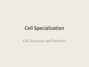 specialized cells - Bremen High School District 228