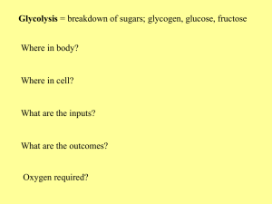 Glycolysis