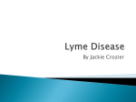 Lyme Disease