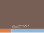 Cell Analogy Analogy to a School