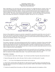 ENZYME ACTIVITY LAB What factors affect enzyme activity? Please