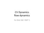 Cardiovascular Dynamics, part 1 File