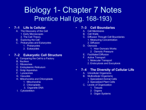 The History of the Cell Theory