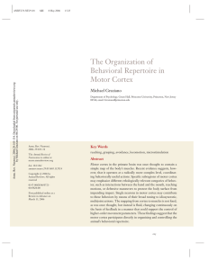 the organization of behavioral repertoire in motor cortex