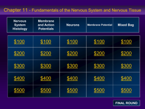 neuro jeopardy