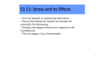 13.11: Stress and Its Effects