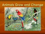 Animals Grow and Change