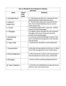 Quiz on Metabolic Terms Related to Diabetes NUR 1021 Item Match